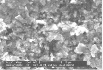 图3硅酸钾富锌涂料腐蚀试验后的电镜图