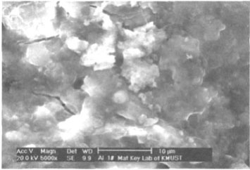 图2硅酸钠富锌涂料腐蚀试验后的电镜图